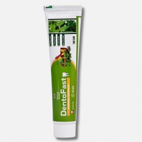 DentoFast Ayurvedic Toothpaste For longlasting Fresh Breath,Tightens Gums 100g