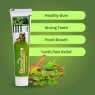 DentoFast Ayurvedic Toothpaste