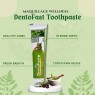 DentoFast Ayurvedic Toothpaste