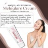 Maquillage Wellness Melaglare Cream